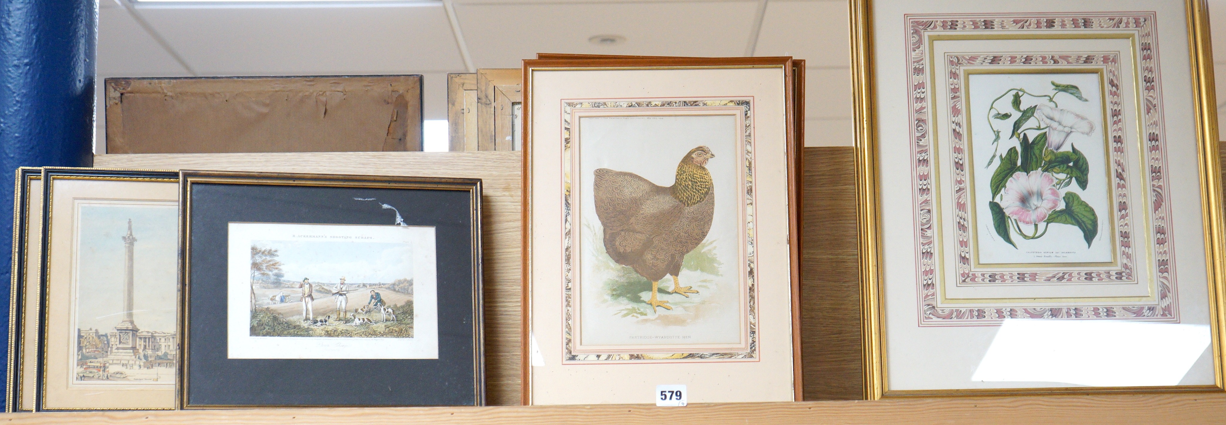 A group of assorted prints comprising set of four Victorian botanical studies, 23 x 16cm, a set of six chromolithographs of chickens, a set of four Henry Rushbury colour prints and a shooting scrap